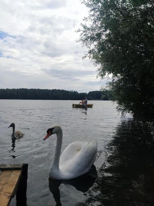 Wrzosowe Wzgorze - Domek Wiejski Klaczno Kültér fotó